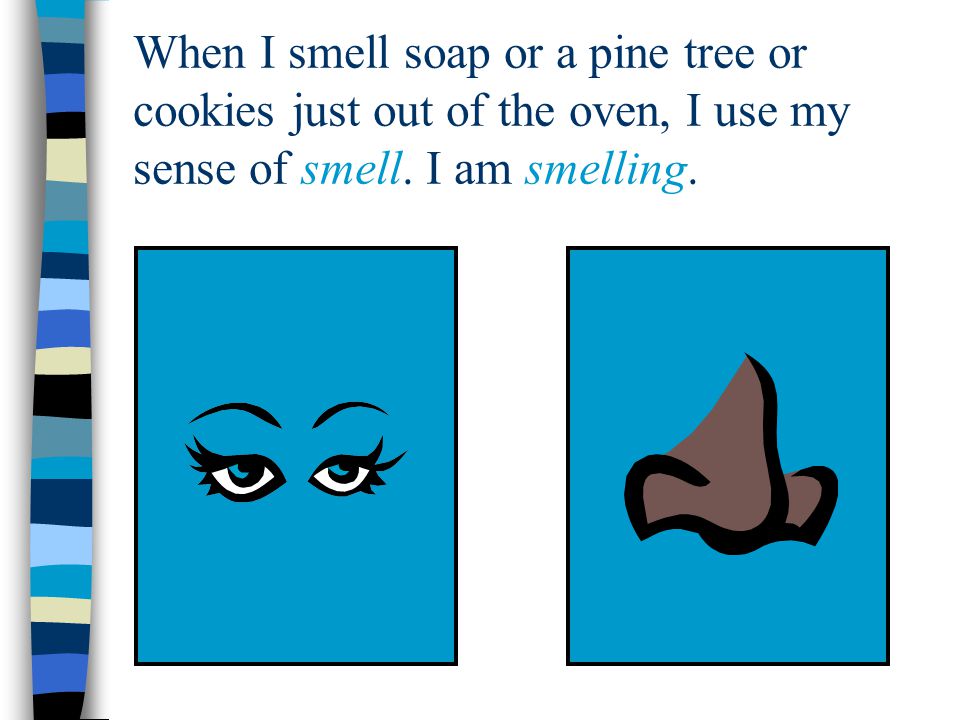 When I smell soap or a pine tree or cookies just out of the oven, I use my sense of smell.