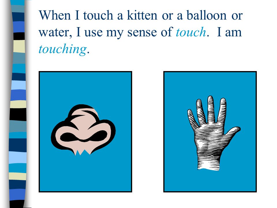 When I touch a kitten or a balloon or water, I use my sense of touch