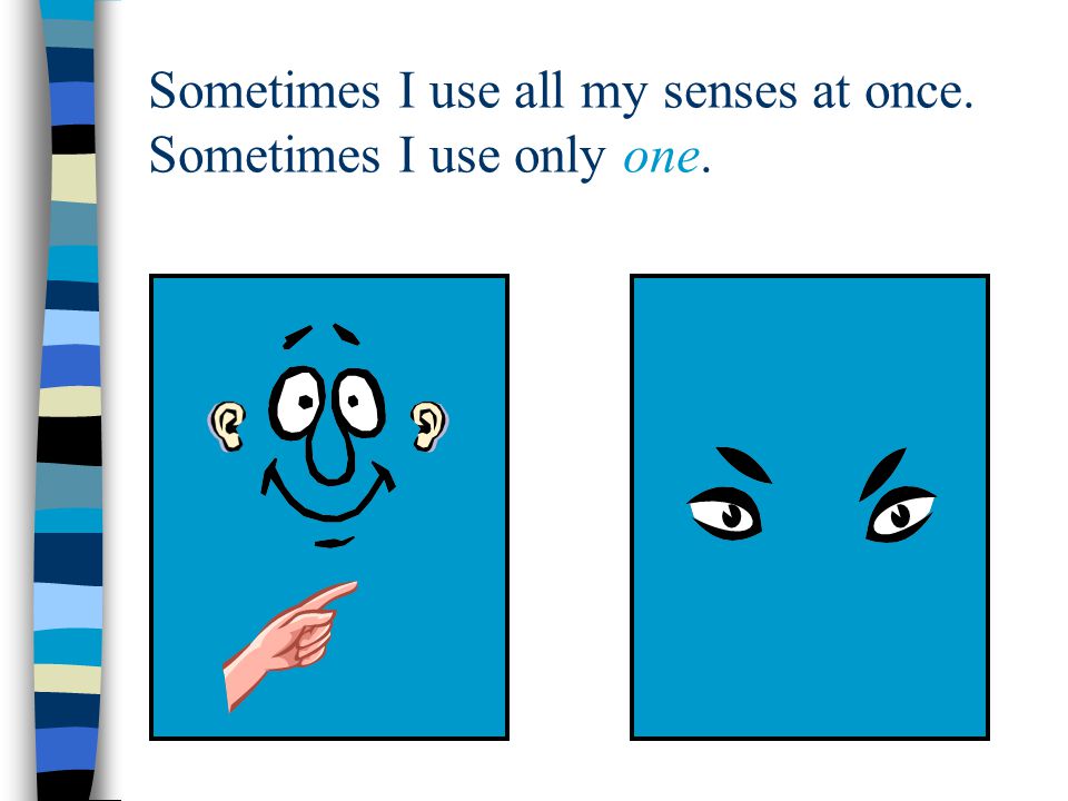 Sometimes I use all my senses at once. Sometimes I use only one.