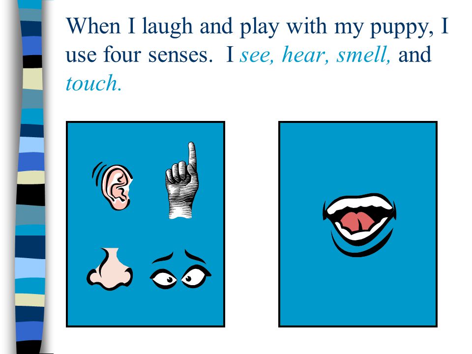 When I laugh and play with my puppy, I use four senses