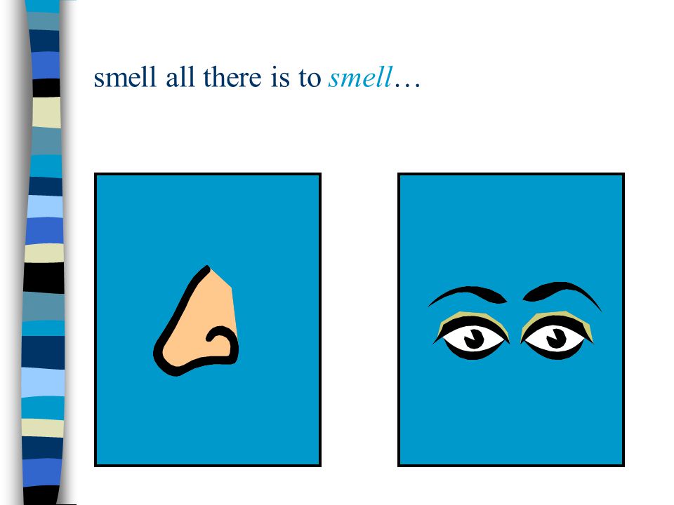 smell all there is to smell…