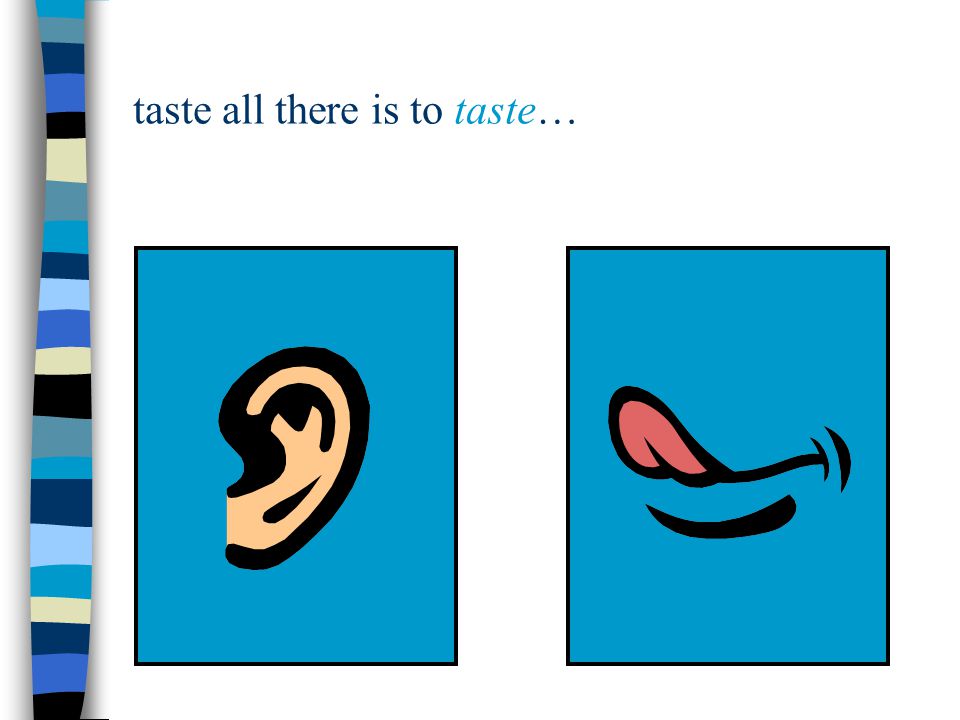 taste all there is to taste…