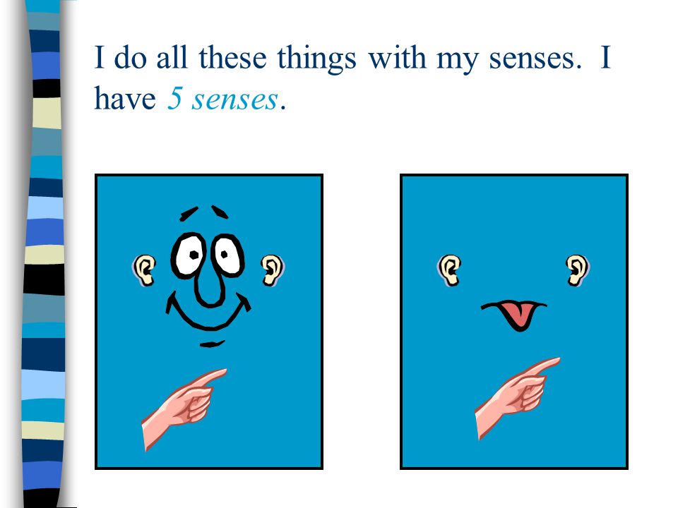 I do all these things with my senses. I have 5 senses.