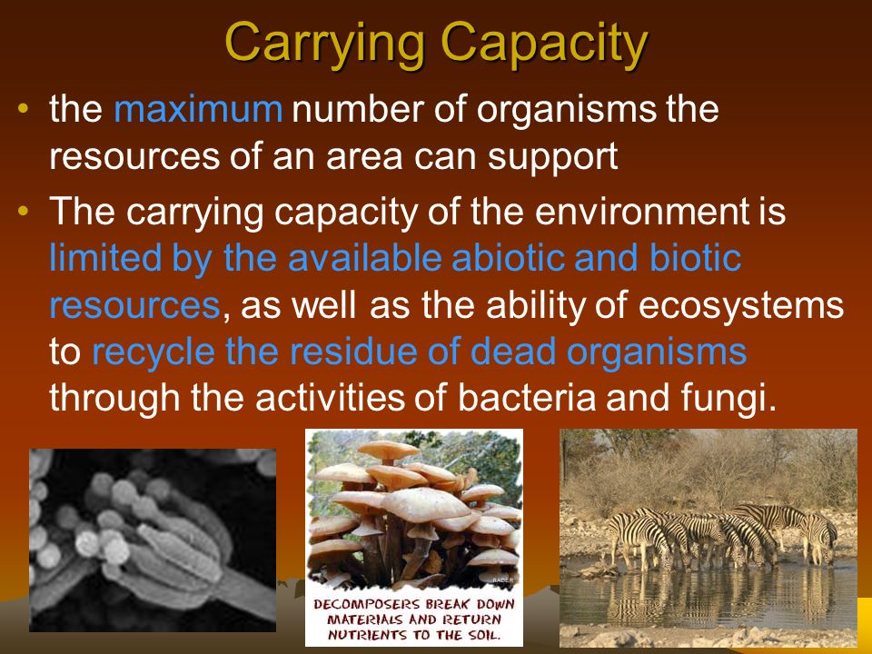 Carrying Capacity the maximum number of organisms the resources of an area can support.