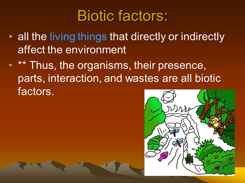Biotic factors: all the living things that directly or indirectly affect the environment.