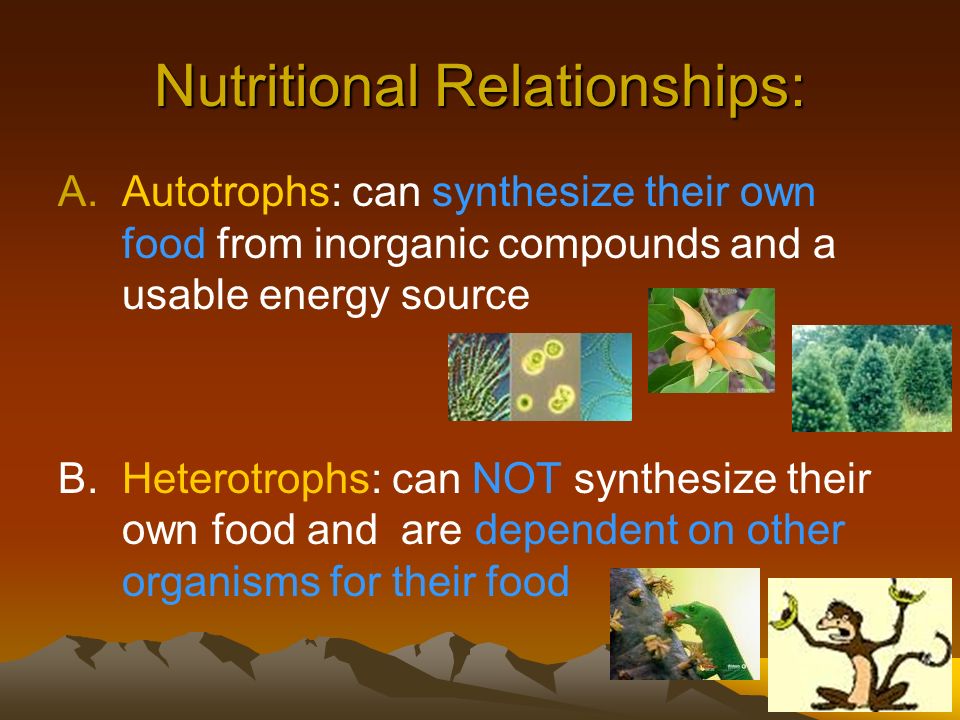 Nutritional Relationships: