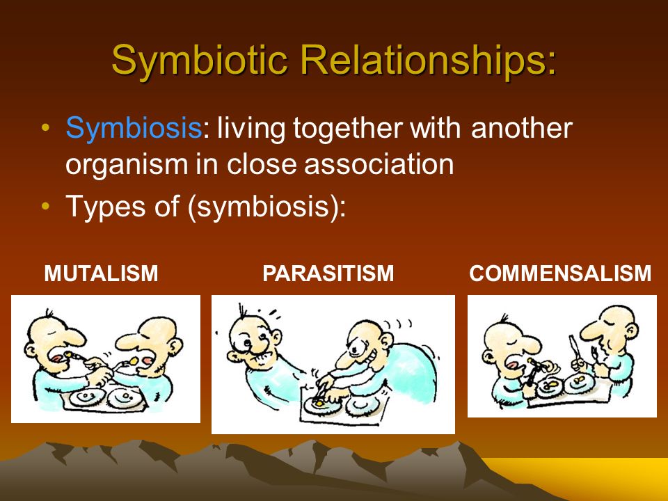 Symbiotic Relationships:
