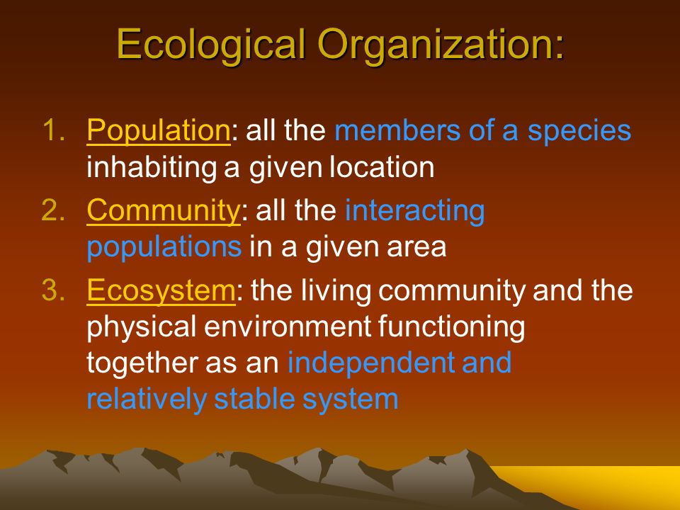 Ecological Organization: