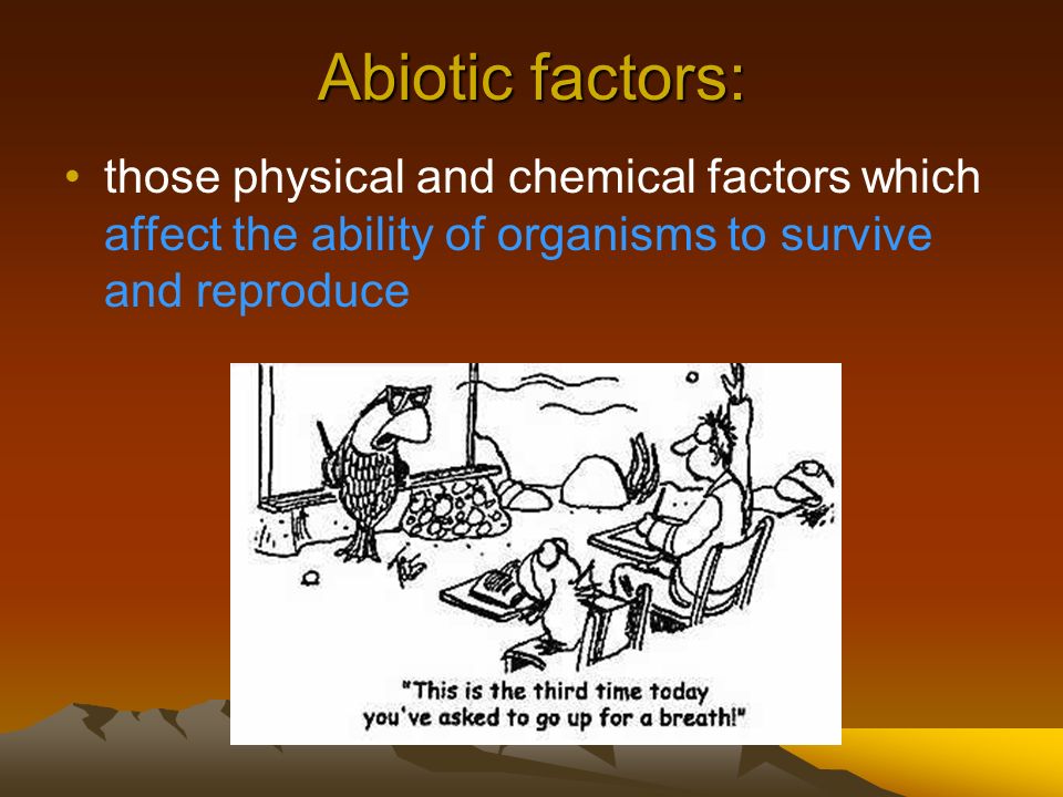 Abiotic factors: those physical and chemical factors which affect the ability of organisms to survive and reproduce.
