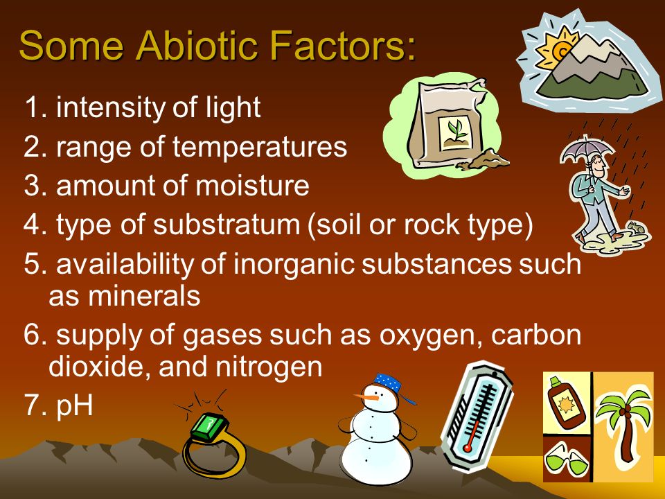 Some Abiotic Factors: 1. intensity of light 2. range of temperatures