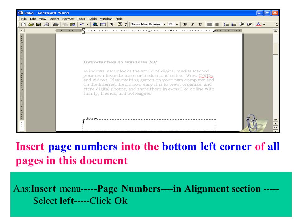 Insert page numbers into the bottom left corner of all