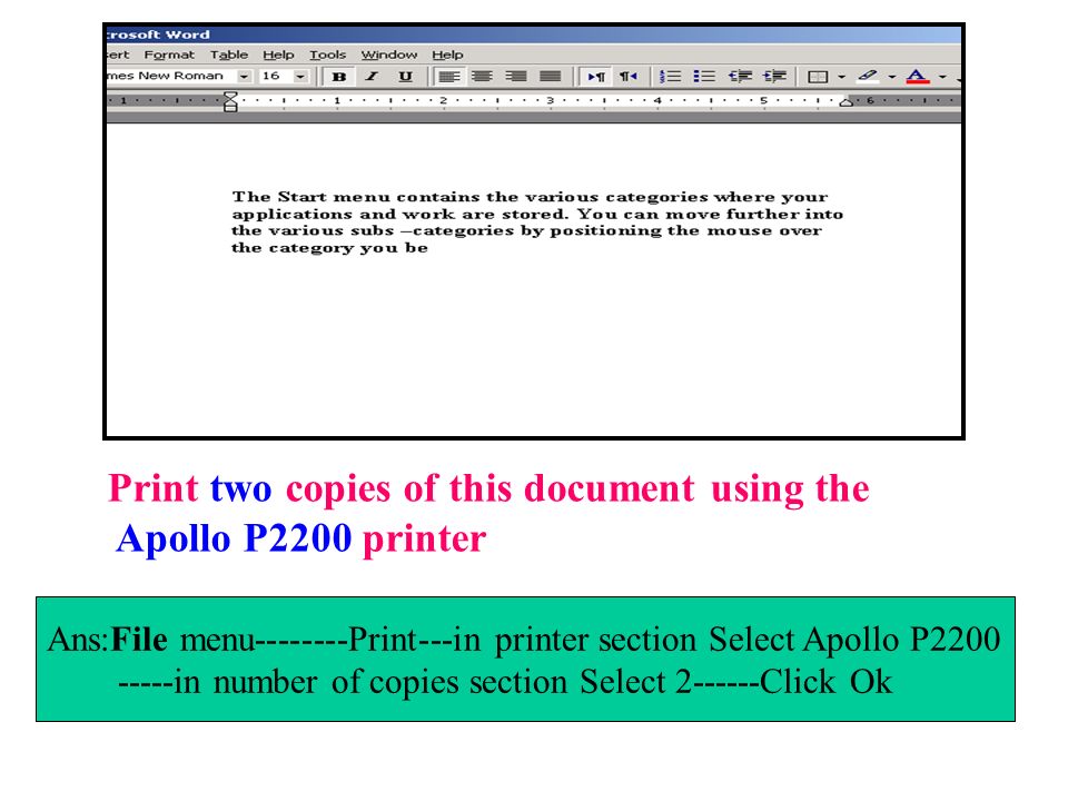 Print two copies of this document using the Apollo P2200 printer