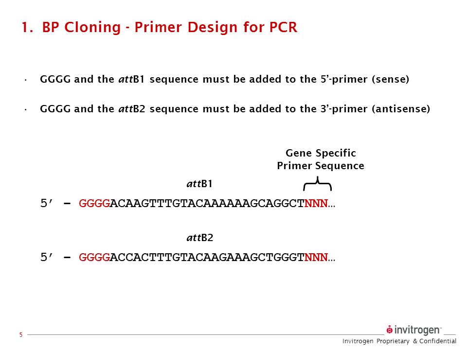 The Gateway® Cloning System - ppt video online download