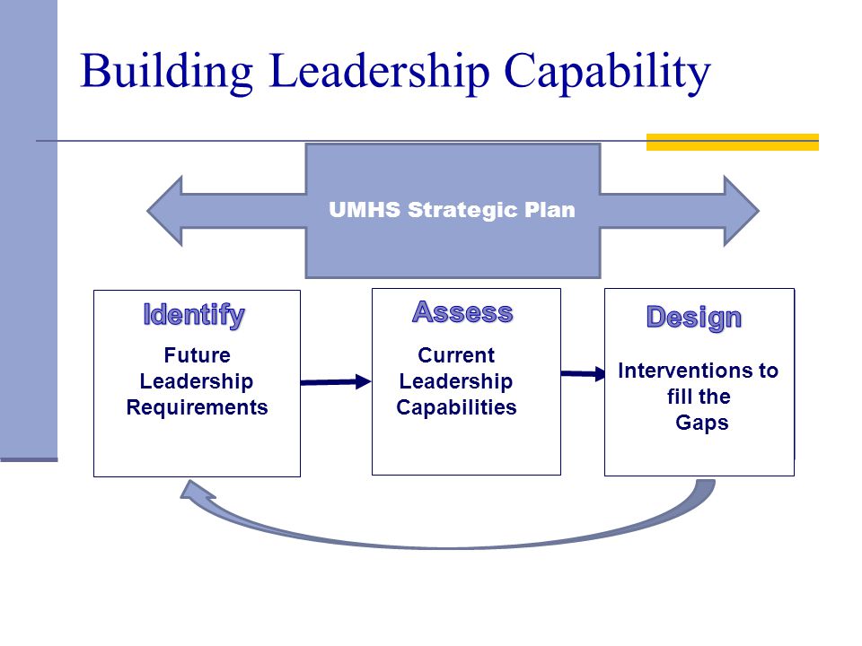 Building Leadership Capability