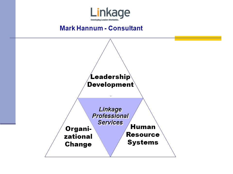 Mark Hannum - Consultant