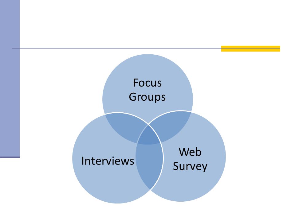 Focus Groups Web Survey Interviews