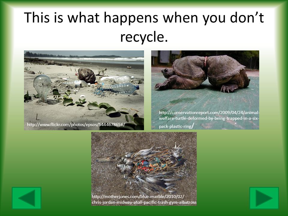 What Happens If We Don't Recycle?