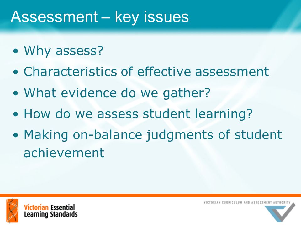 Assessment – key issues