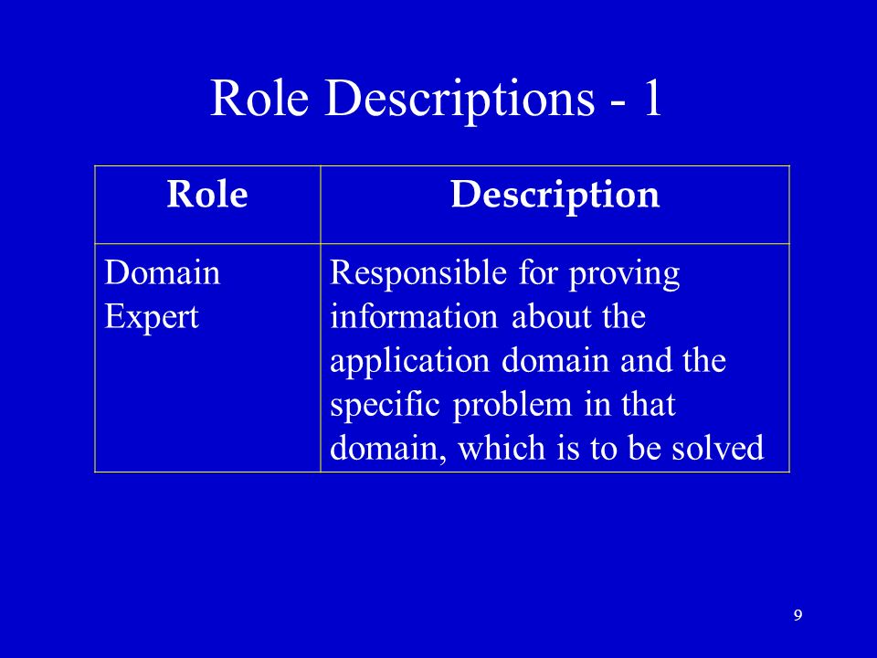 Role Descriptions - 1 Role Description Domain Expert