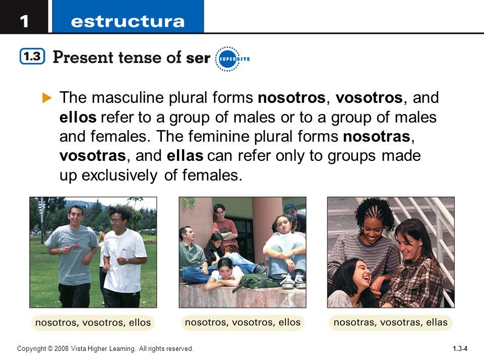 The masculine plural forms nosotros, vosotros, and ellos refer to a group of males or to a group of males and females. The feminine plural forms nosotras, vosotras, and ellas can refer only to groups made up exclusively of females.