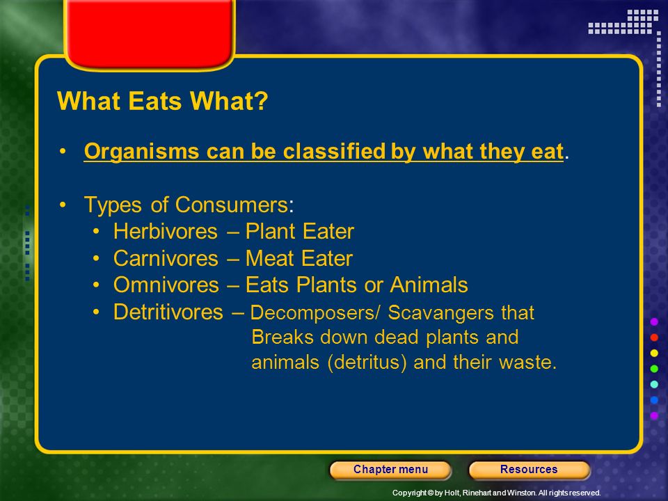 What Eats What Organisms can be classified by what they eat.
