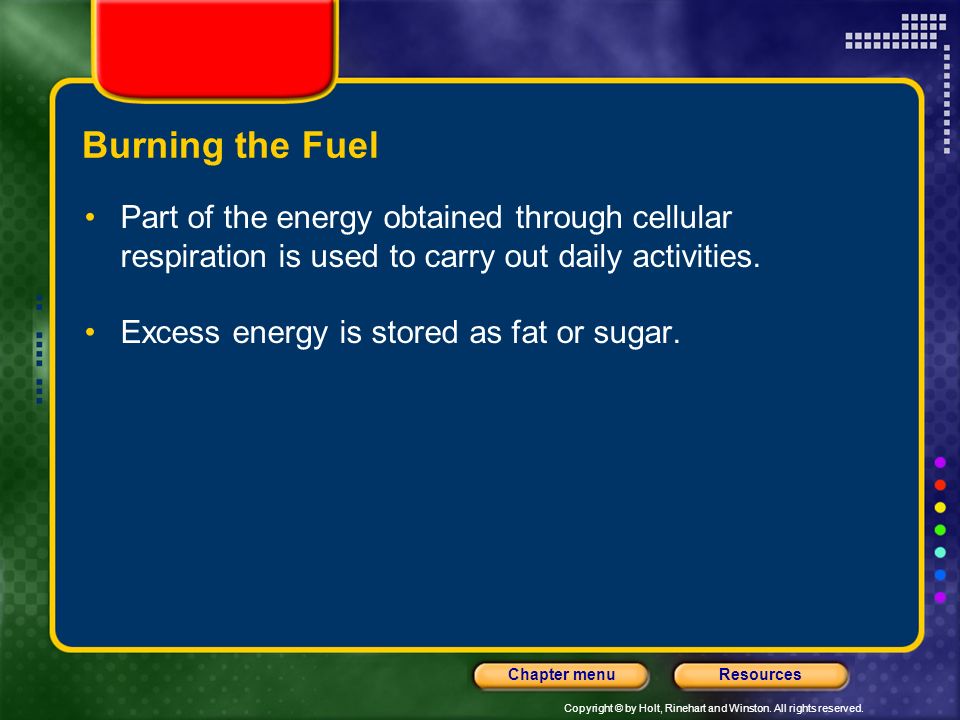Burning the Fuel Part of the energy obtained through cellular respiration is used to carry out daily activities.