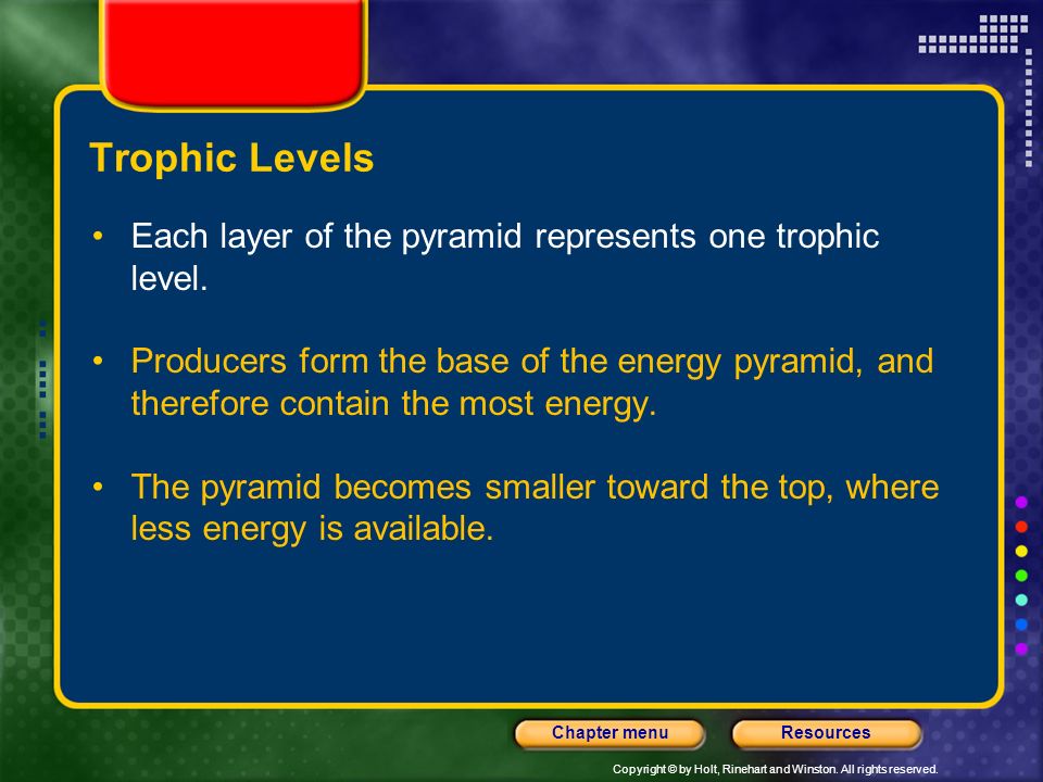 Trophic Levels Each layer of the pyramid represents one trophic level.