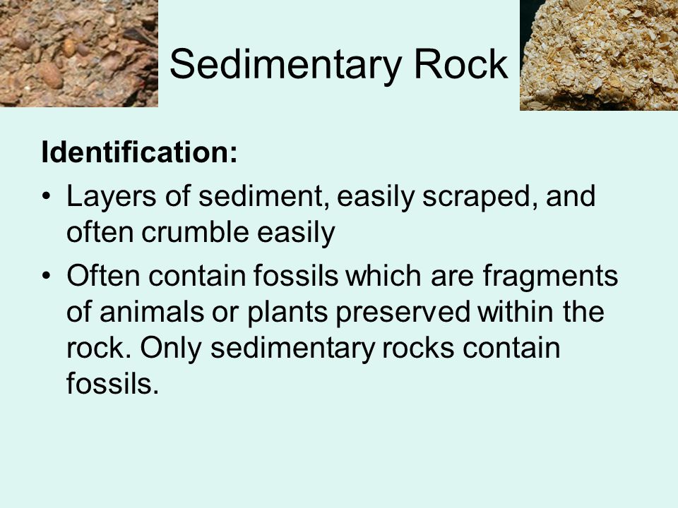 Sedimentary Rock Identification:
