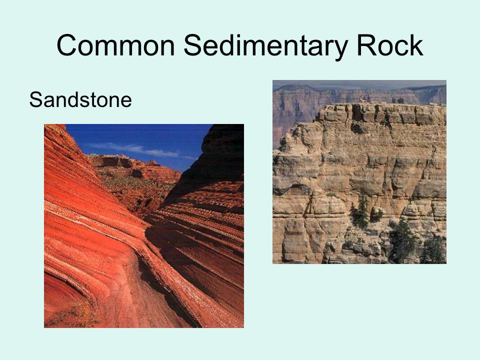 Common Sedimentary Rock