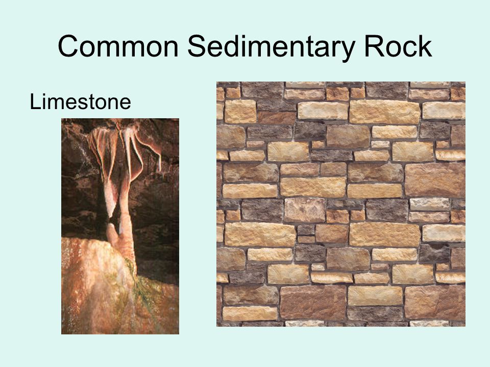 Common Sedimentary Rock
