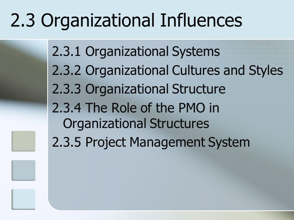 2.3 Organizational Influences