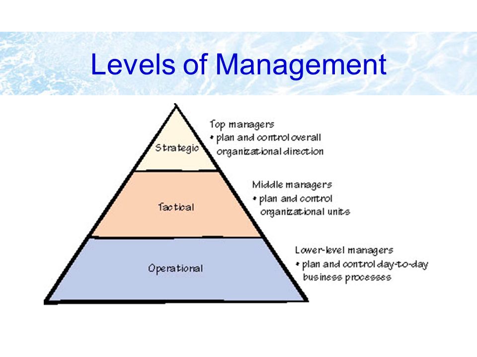 Management levels