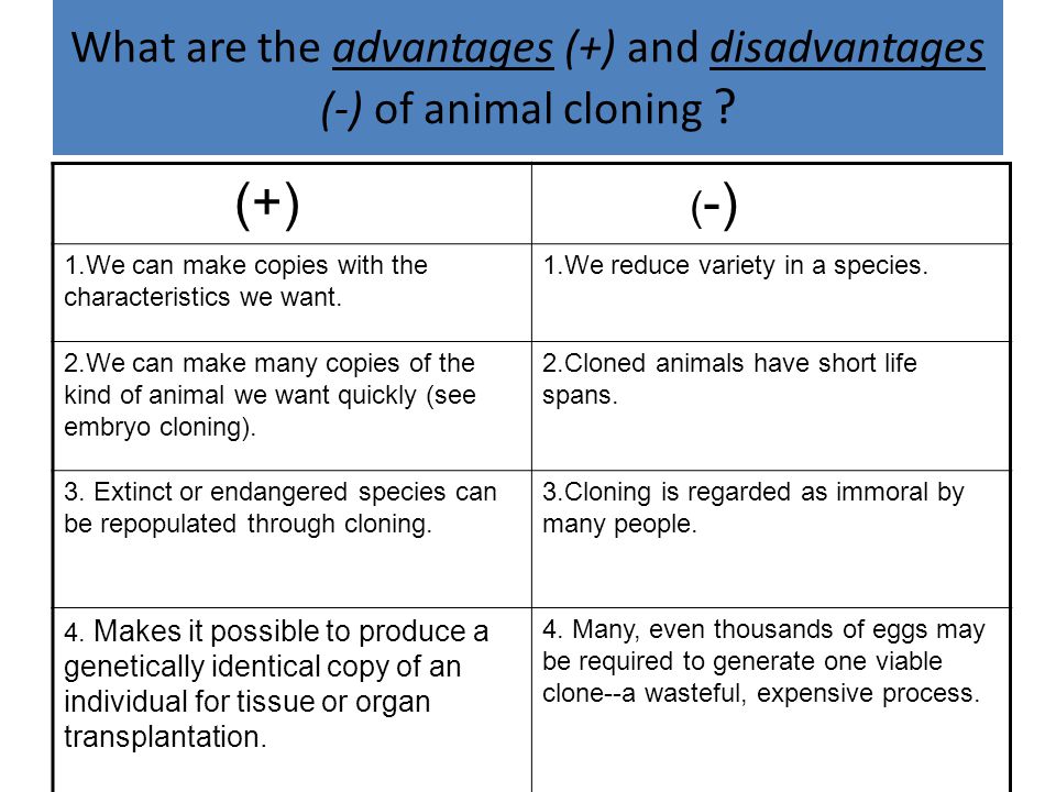 5d Cloning Define clone. Clone: a group of genetically identical organisms  or a group of cells derived from a single parent cell. - ppt download