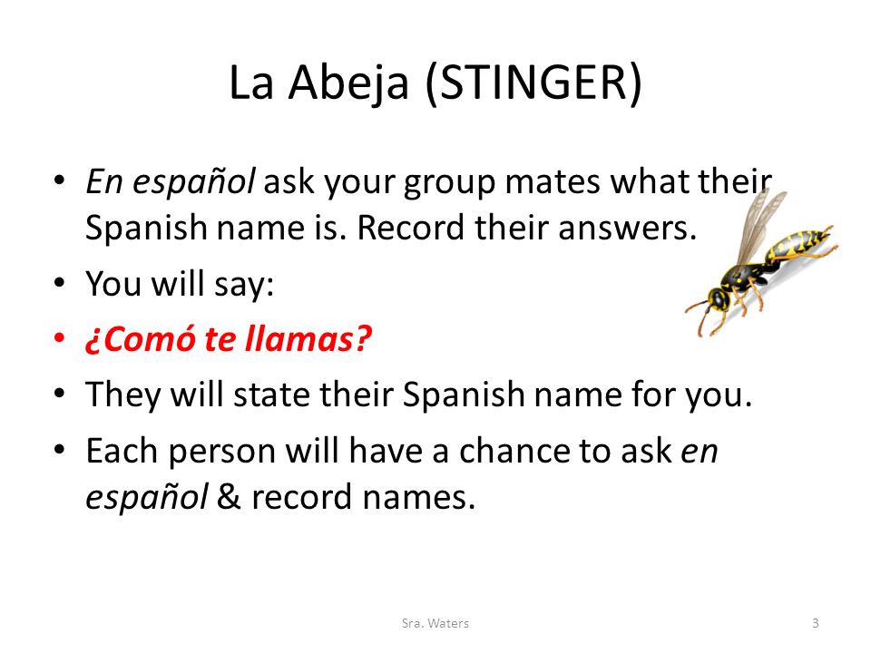 La Abeja (STINGER) En español ask your group mates what their Spanish name is. Record their answers.