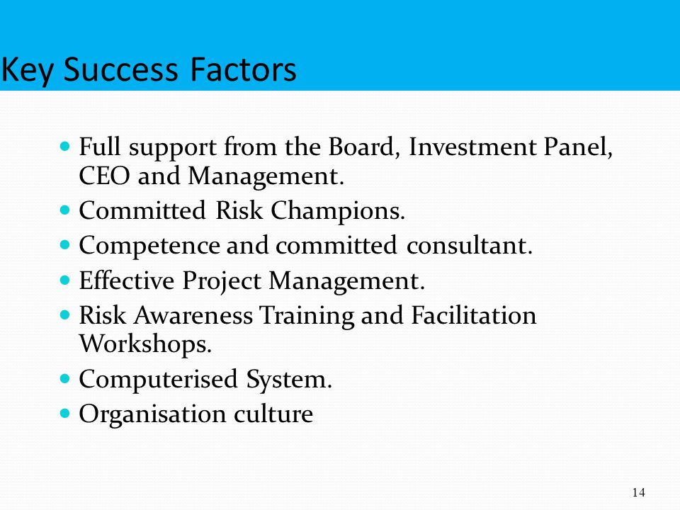 Key Success Factors Full support from the Board, Investment Panel, CEO and Management. Committed Risk Champions.