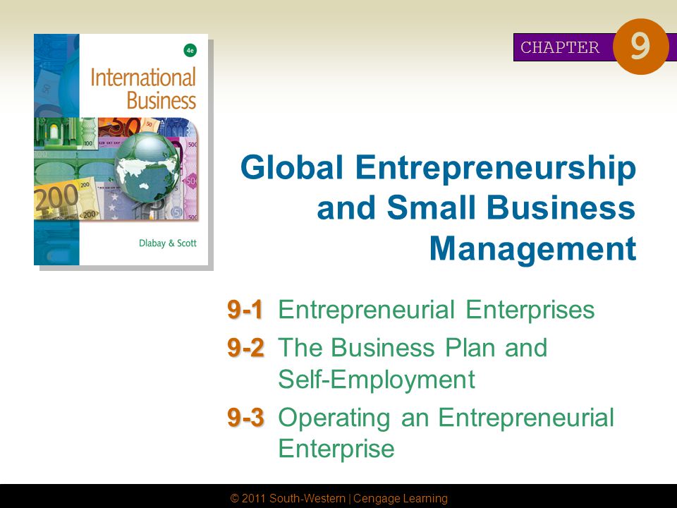 Global Entrepreneurship and Small Business Management