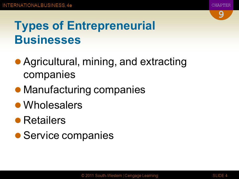 Types of Entrepreneurial Businesses