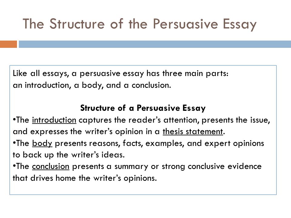 persuasive writing essay structure