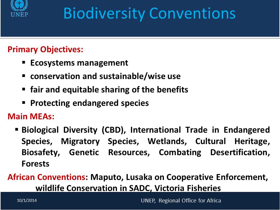 Biodiversity Conventions