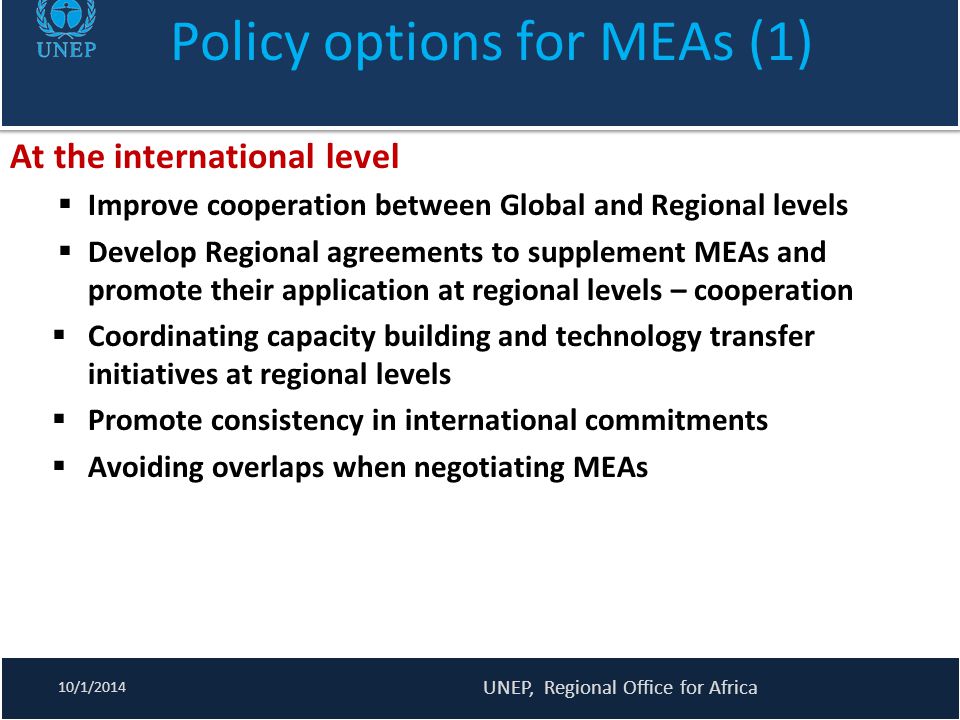 Policy options for MEAs (1)