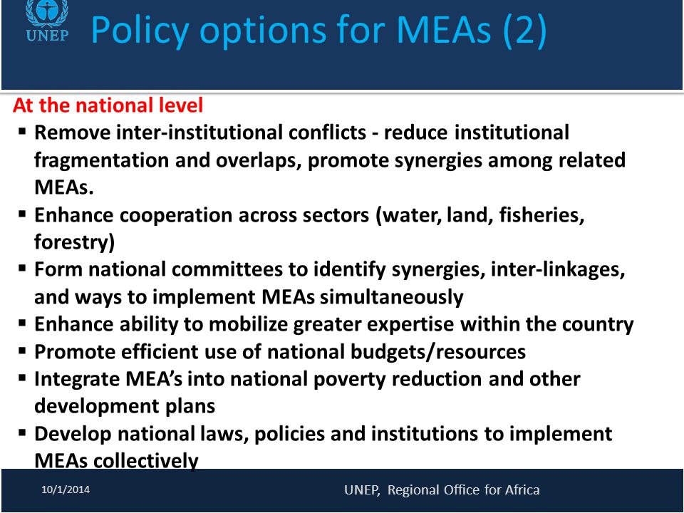 Policy options for MEAs (2)