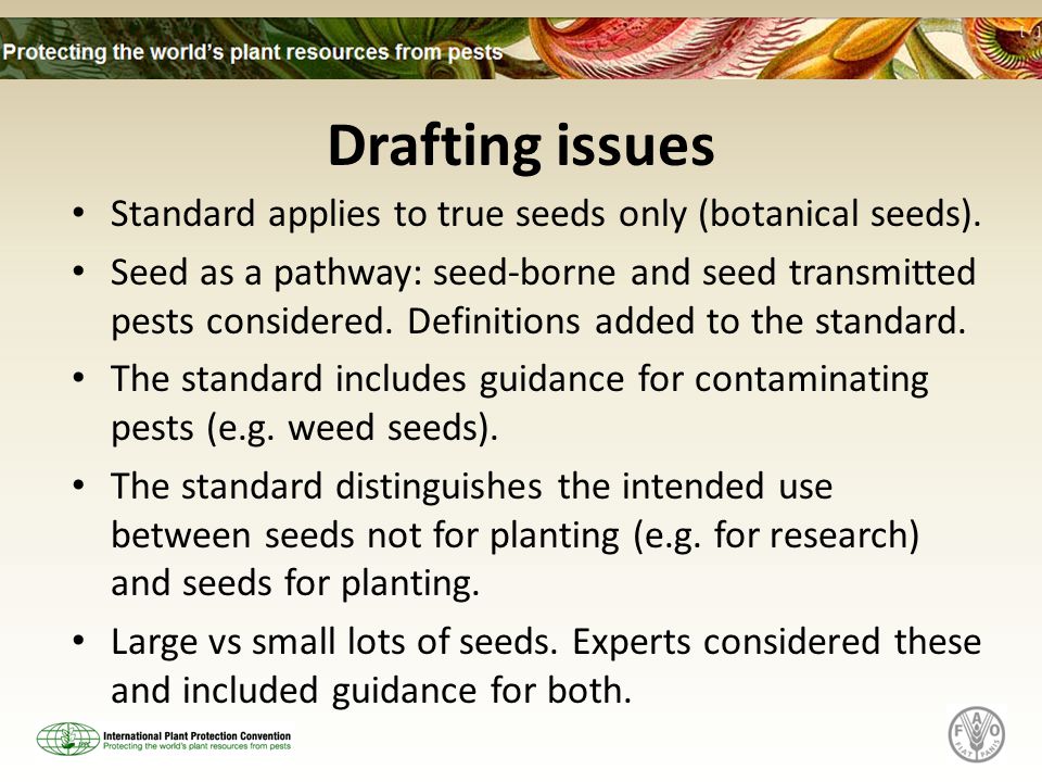 Drafting issues Standard applies to true seeds only (botanical seeds).