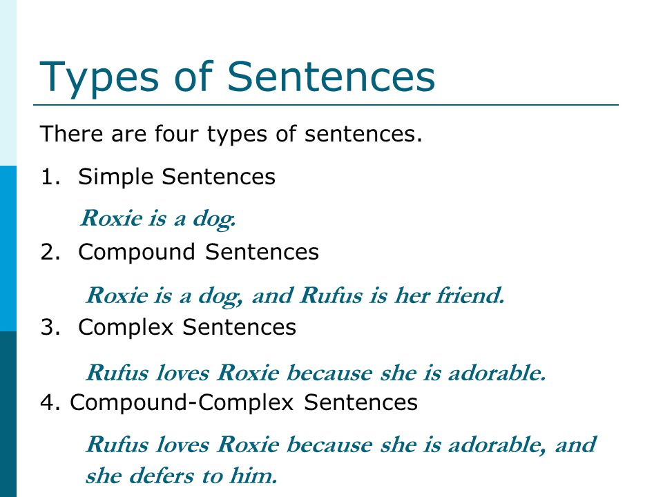 Types of Sentences Roxie is a dog. 