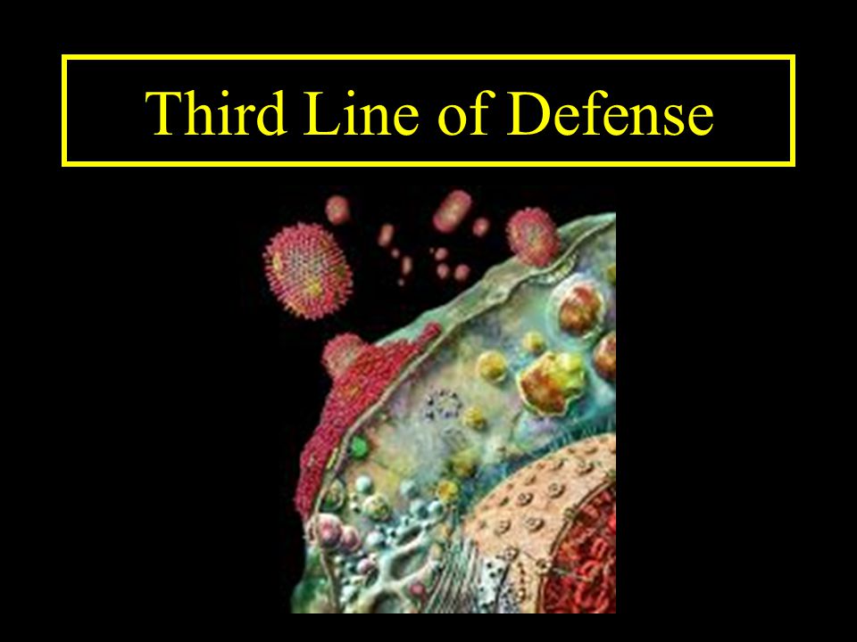Third Line of Defense
