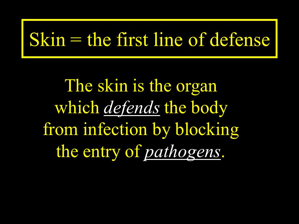 Skin = the first line of defense