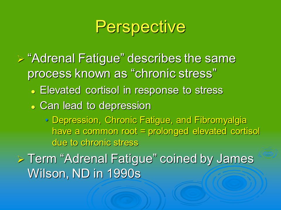 stress fatigue and the adrenals ppt