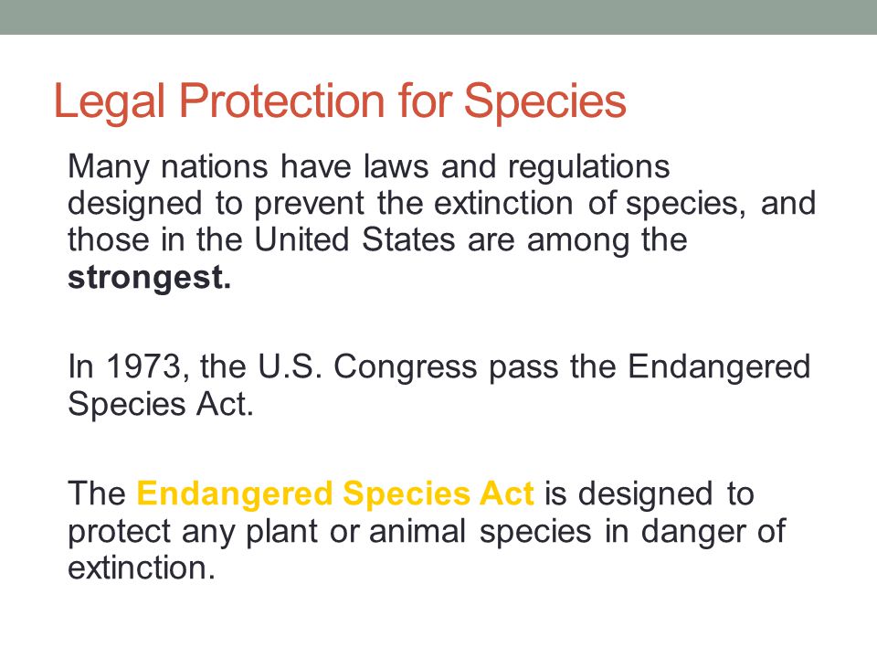 Legal Protection for Species