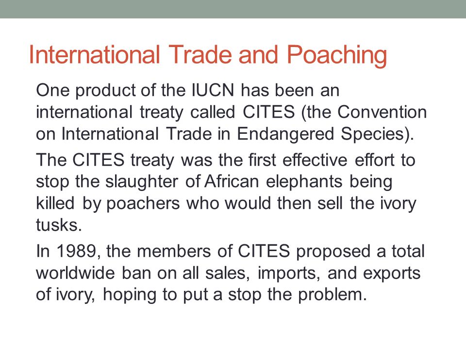 International Trade and Poaching