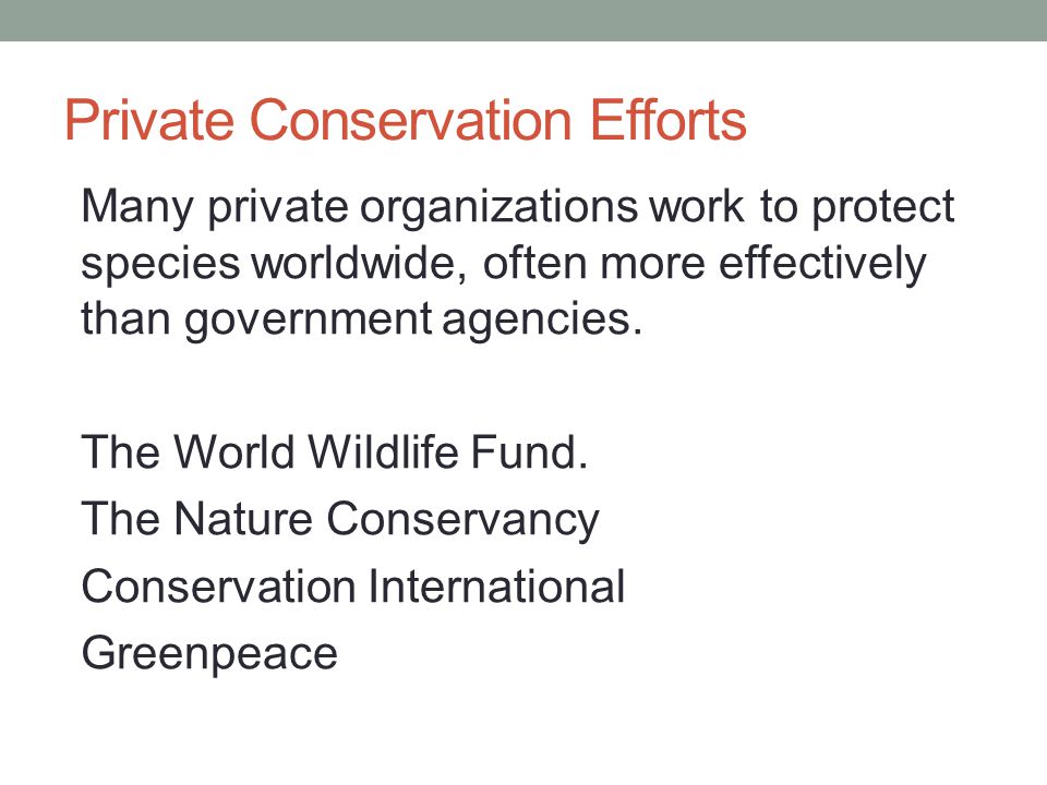 Private Conservation Efforts