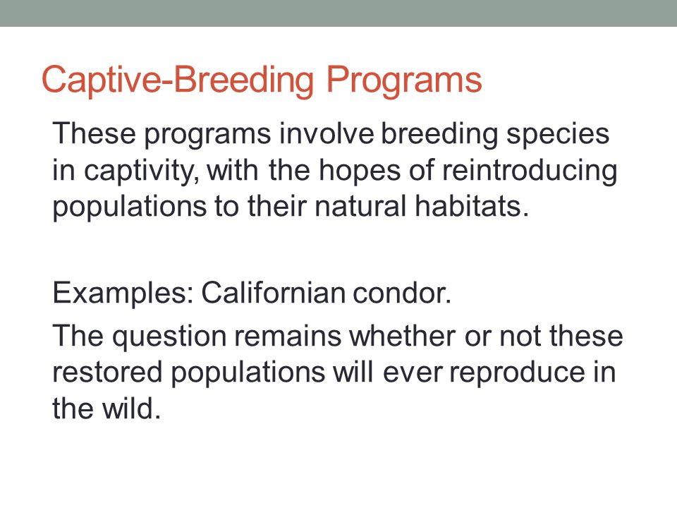 Captive-Breeding Programs